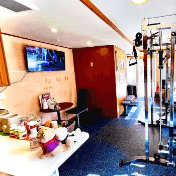 NEWMEALのパーソナルジムのトレーニングを受ける店舗内の様子